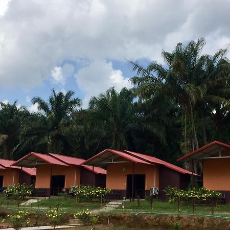 Khao Sok Evergreen House Khao Sok National Park Esterno foto