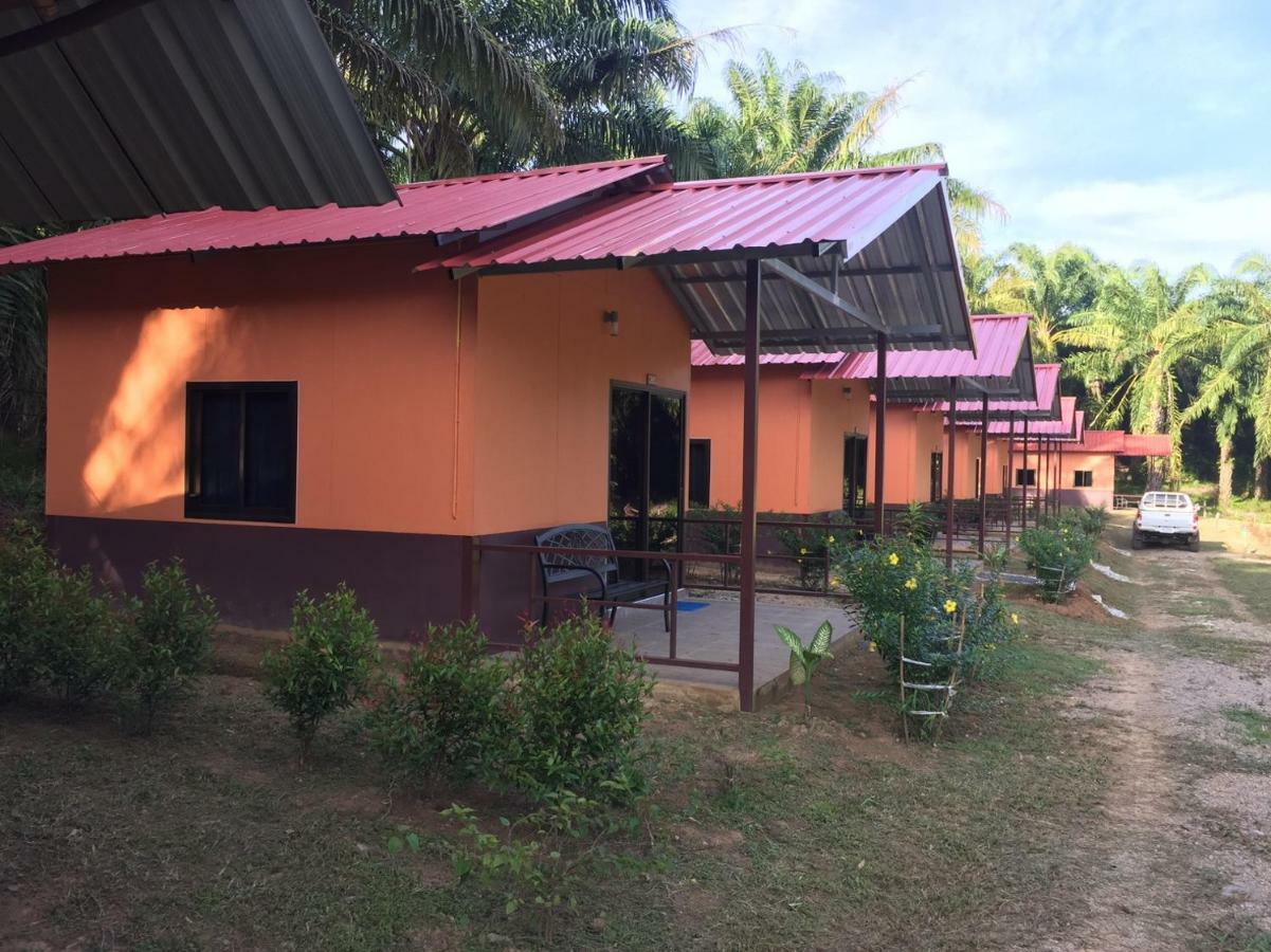 Khao Sok Evergreen House Khao Sok National Park Esterno foto
