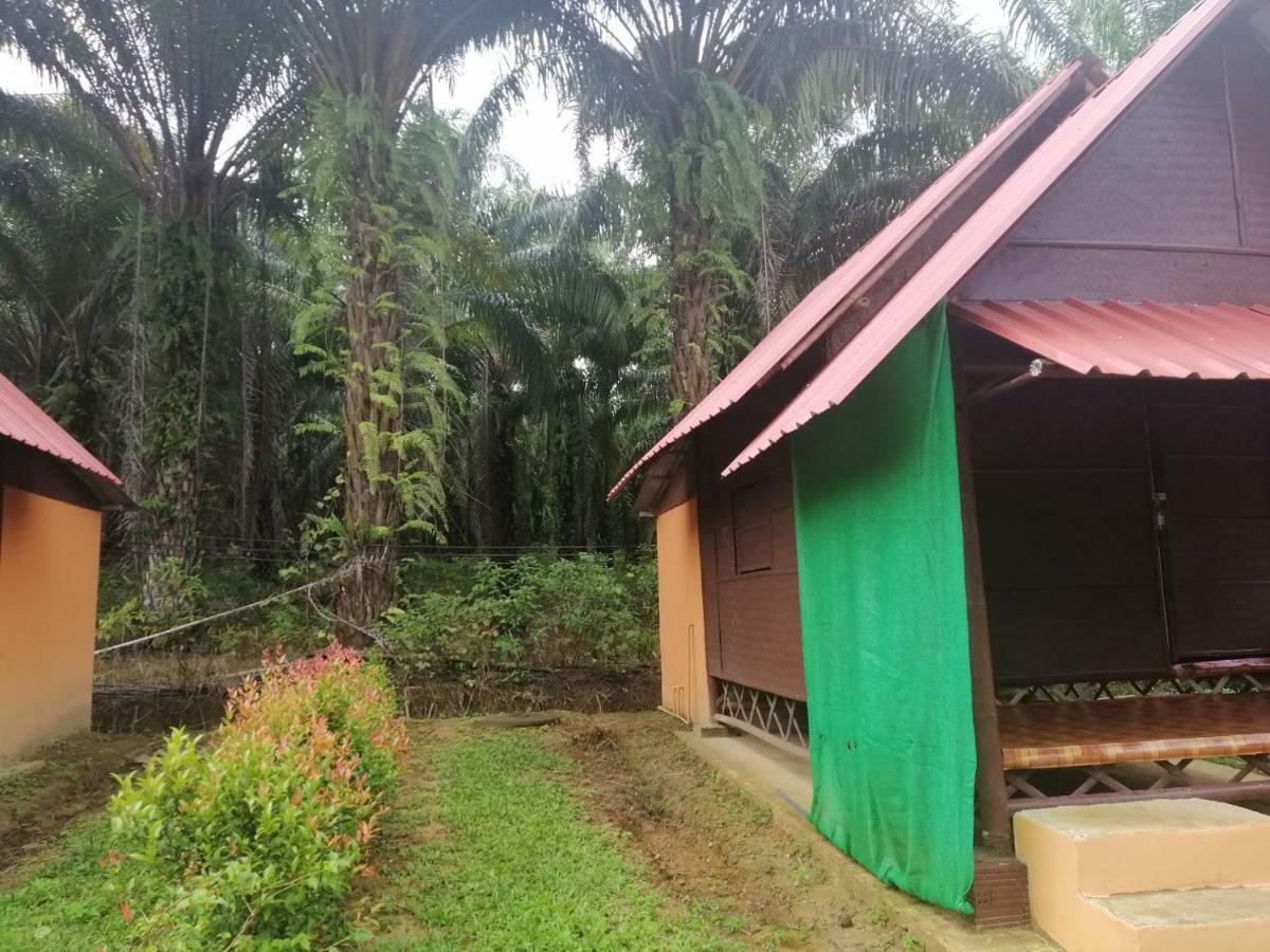 Khao Sok Evergreen House Khao Sok National Park Esterno foto