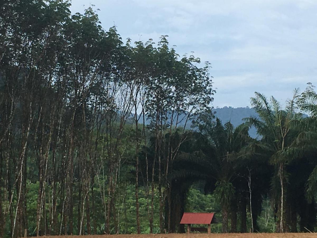 Khao Sok Evergreen House Khao Sok National Park Esterno foto